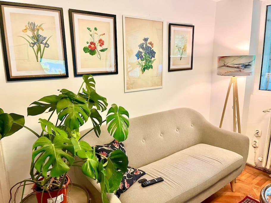 Carpe Diem, Cismigiu Gardens Appartamento